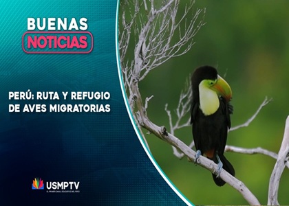 PERÚ, RUTA Y REFUGIO DE AVES MIGRATORIAS